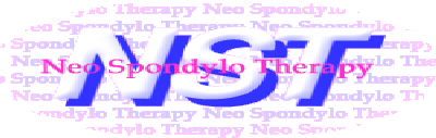 NSTlogo